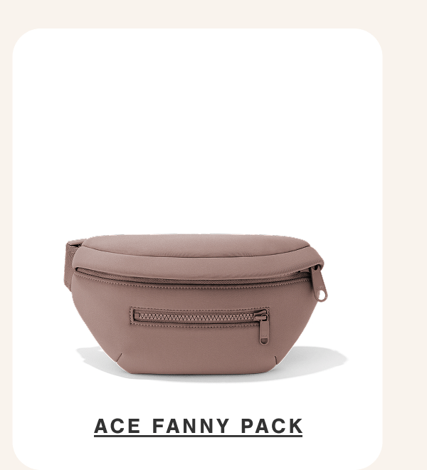Ace Fanny Pack