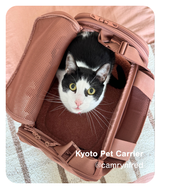 Kyoto Pet Carrier.