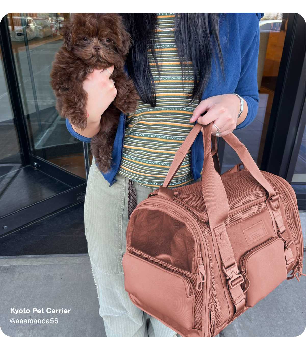 Kyoto Pet Carrier