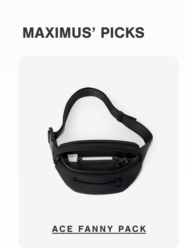 Shop Ace Fanny Pack.