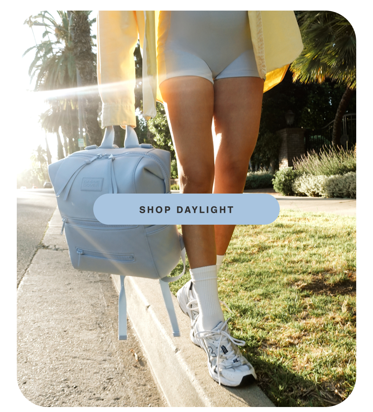 Shop Daylight.
