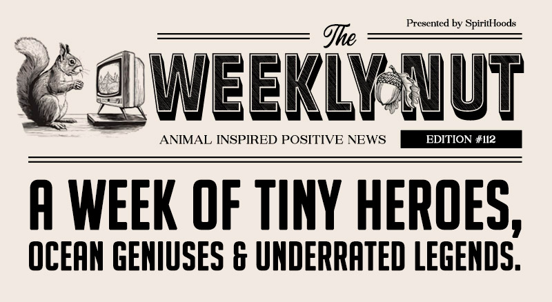 A Week of Tiny Heroes, Ocean Geniuses & Underrated Legends