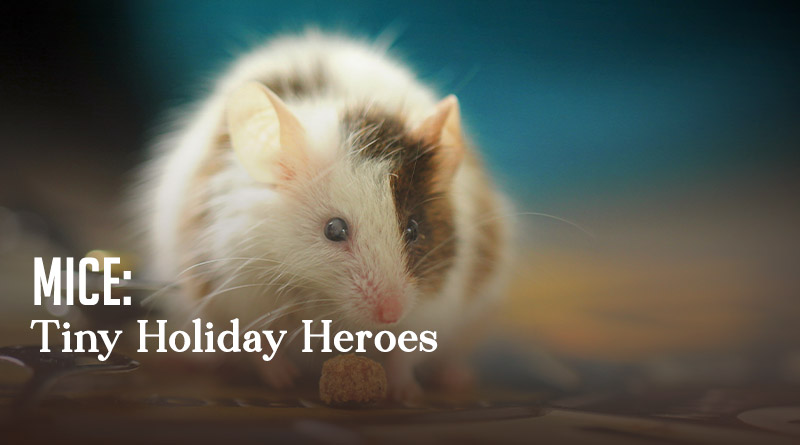 Mice: Tiny Holiday Heroes