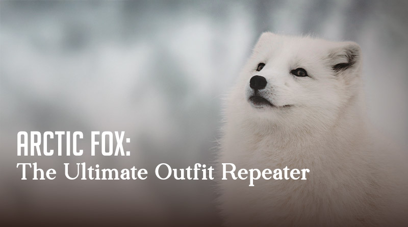 Arctic Fox: The Ultimate Outfit Repeater