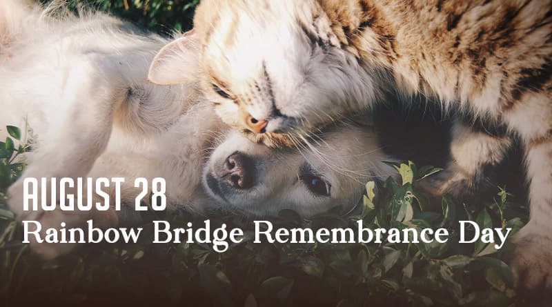 Rainbow Bridge Remembrance Day