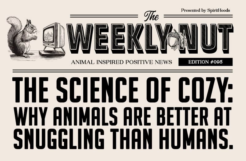 International Animal Rights Day! 