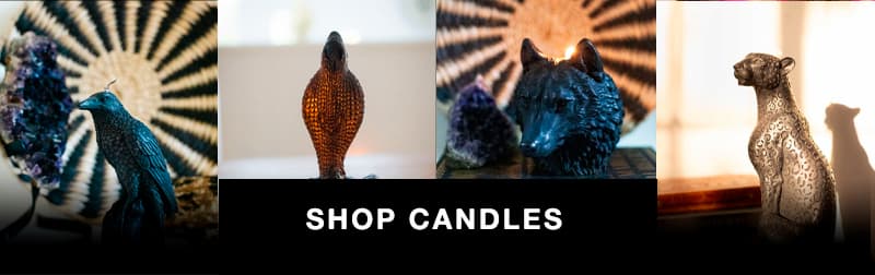 Shop Home Favourites!