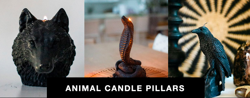Animal Candles