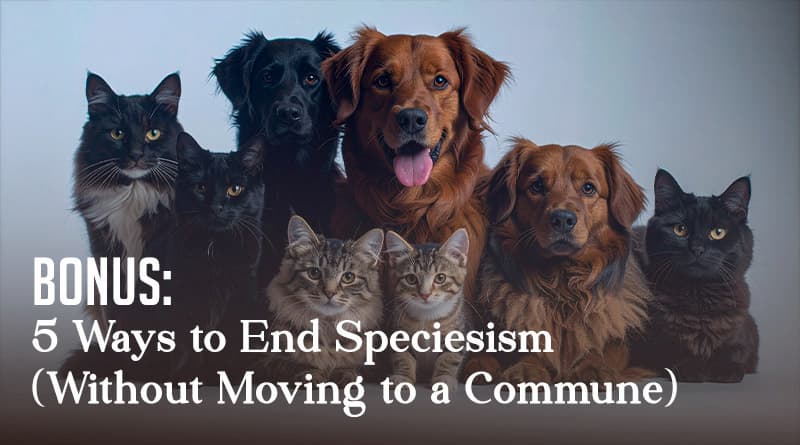 Bonus: 5 Ways to End Speciesism
