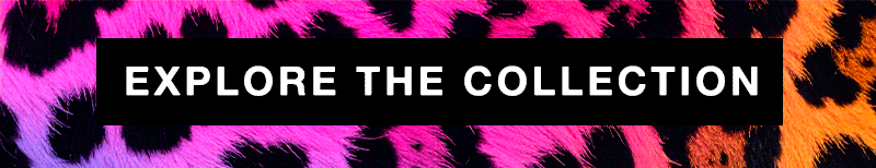 Explore The Collection