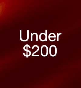 Luxury Gifts Under $200