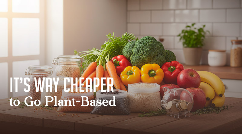 It's Way Cheaper to Go Plant-Based