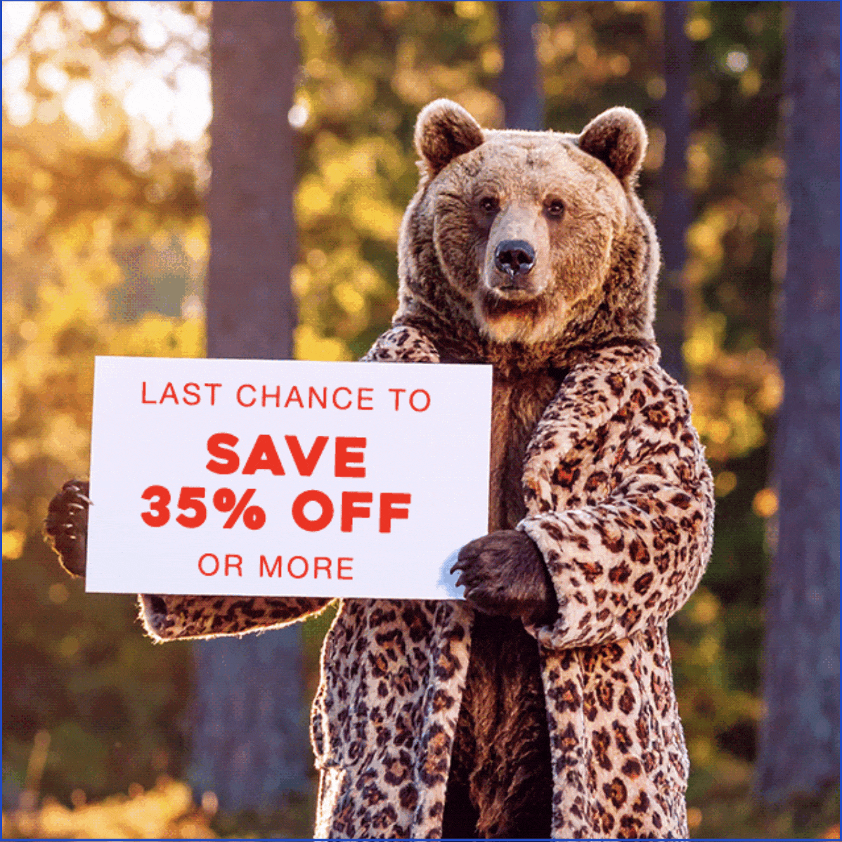 Adventure Sale