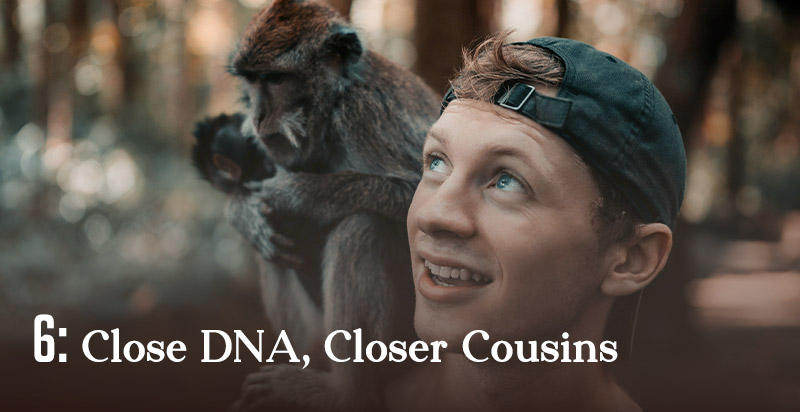 Close DNA, Closer Cousins