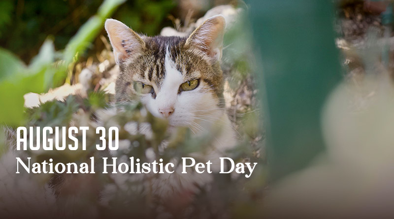 National Holistic Pet Day