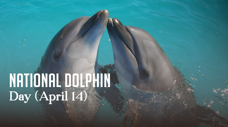 National Dolphin Day (April 14)