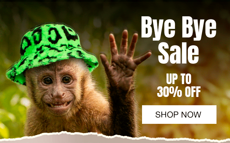 Bye Bye Sale Is On!
