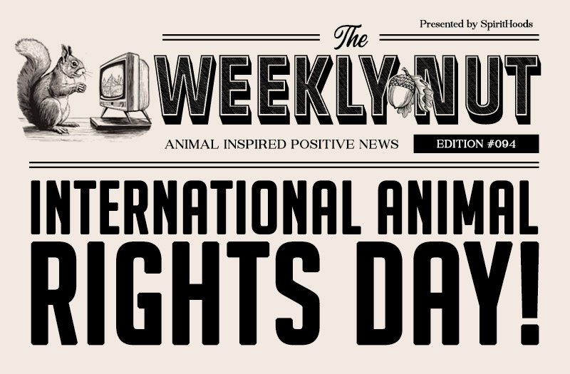 International Animal Rights Day! 