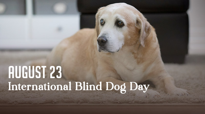  International Blind Dog Day