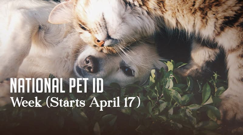 National Pet ID Week (Starts April 17)
