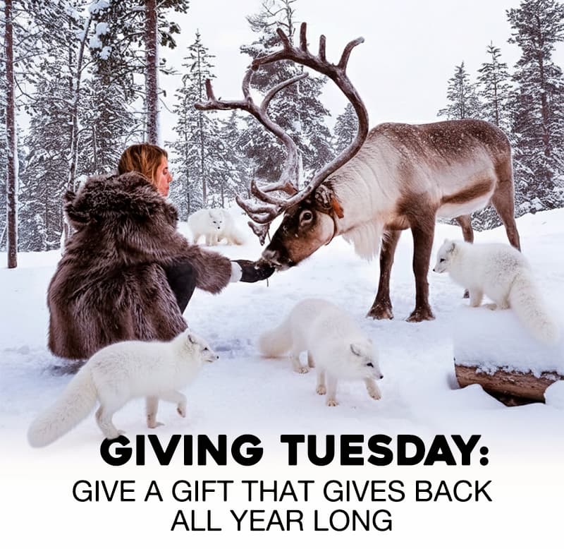 Giving Tuesday