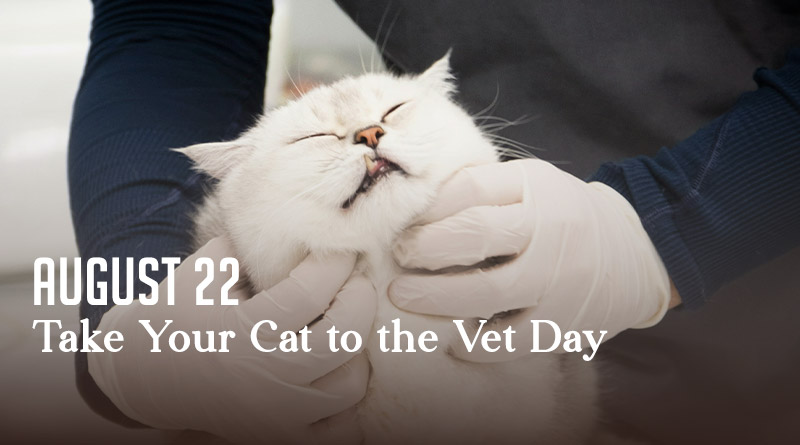 Take Your Cat to the Vet Day