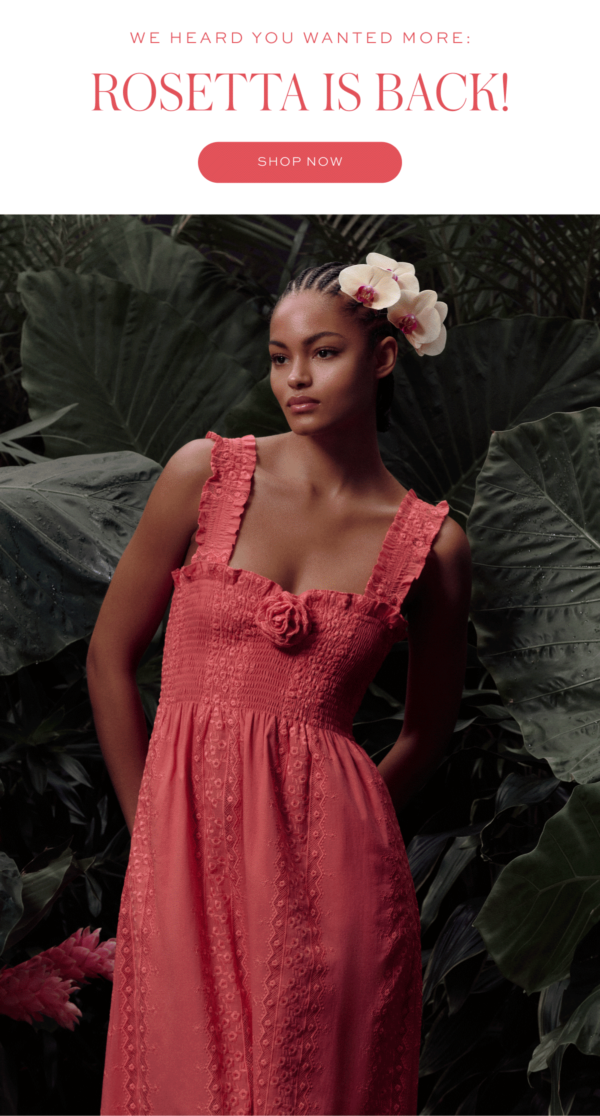 We Heard You Wanted More: Rosetta is BACK!