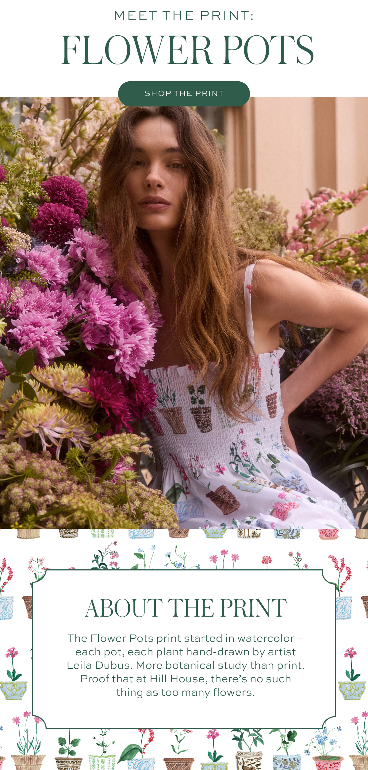 Introducing: The Flower Pots Print