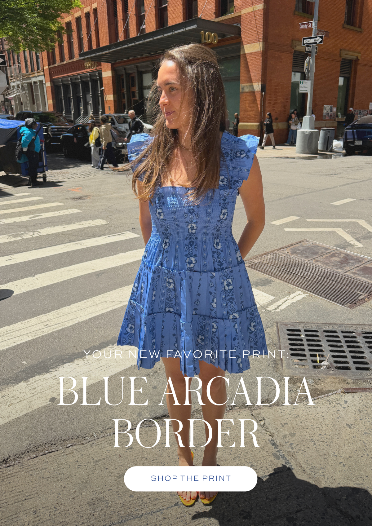 Your New Favorite Print: Blue Arcadia Border