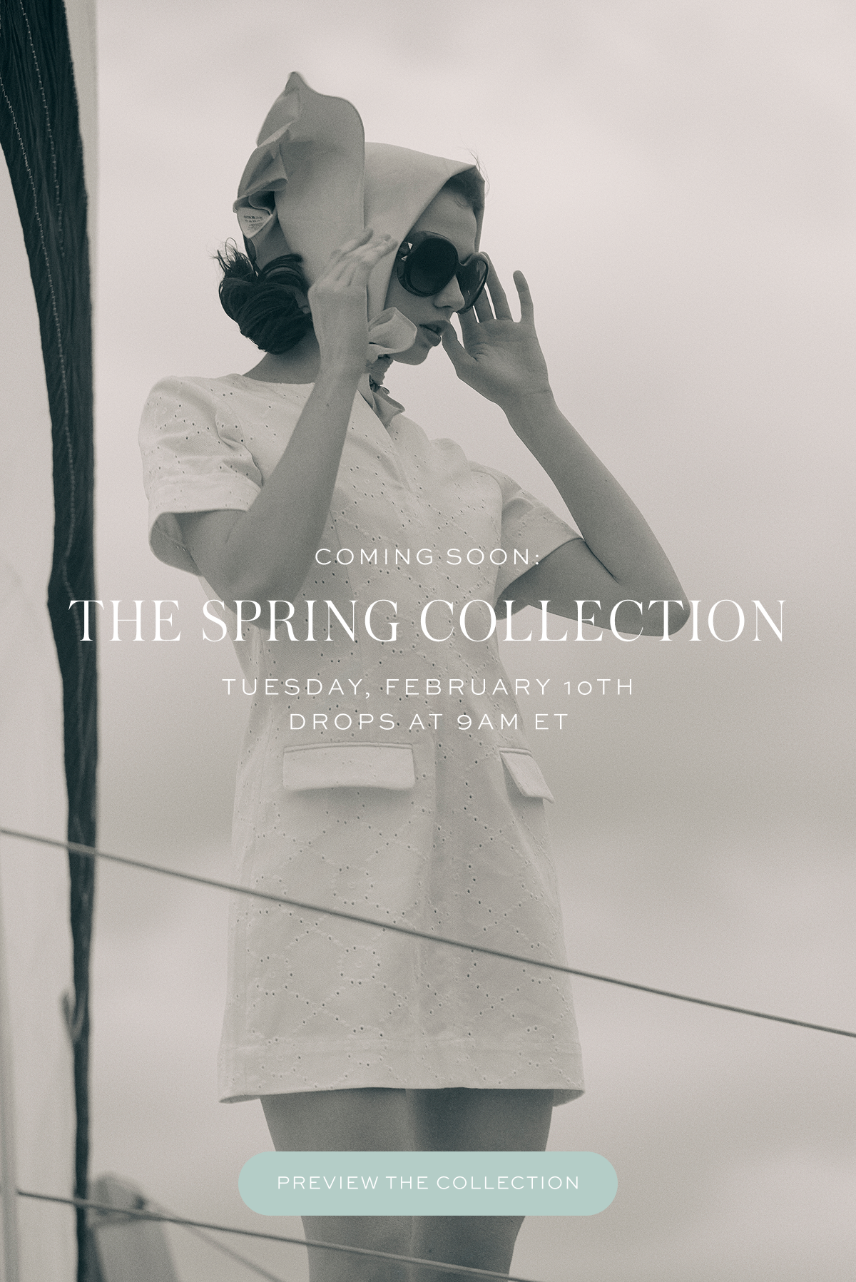 Preview the Collection