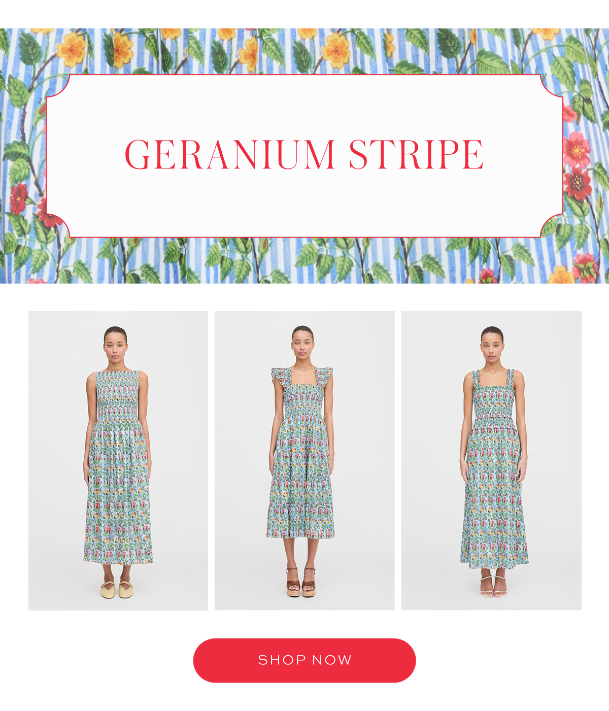Geranium Stripe