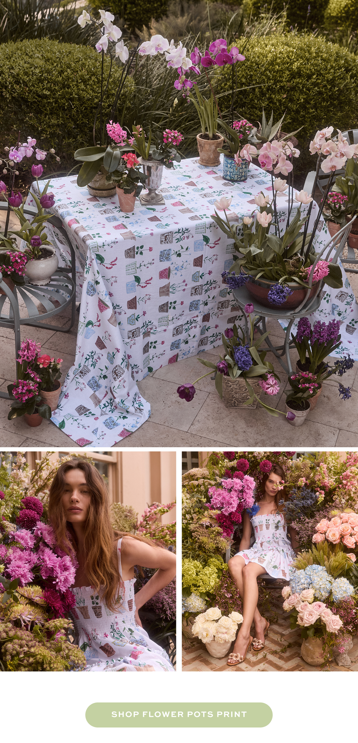 Meet: Botanica Obscura