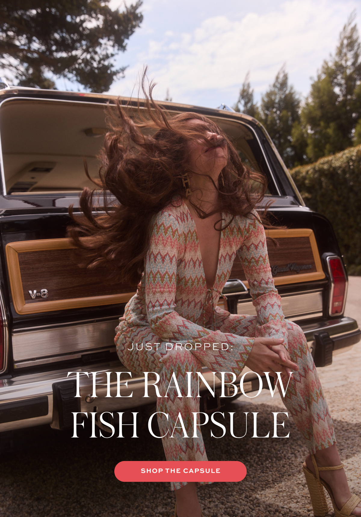 JUST DROPPED: THE RAINBOW FISH CAPSULE