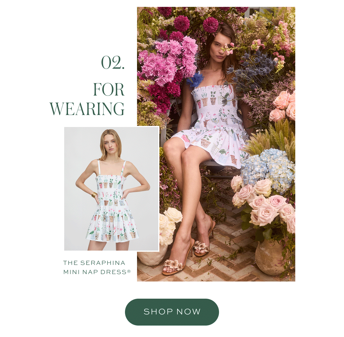 Introducing: The Flower Pots Print