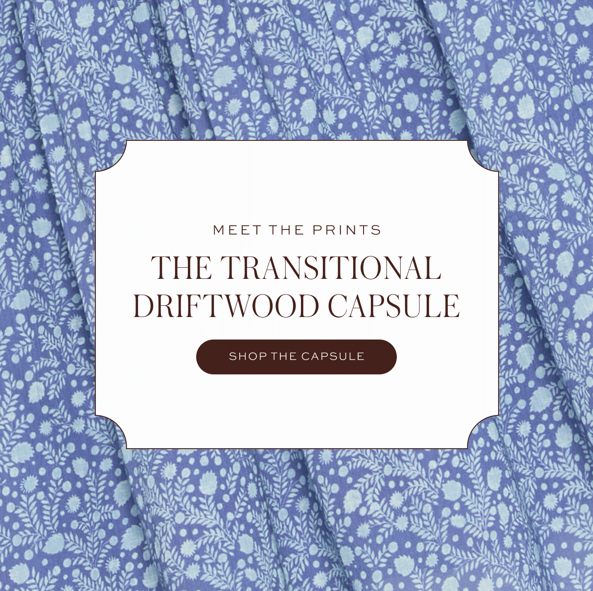 Meet the Prints: The Transitional Driftwood Capsule