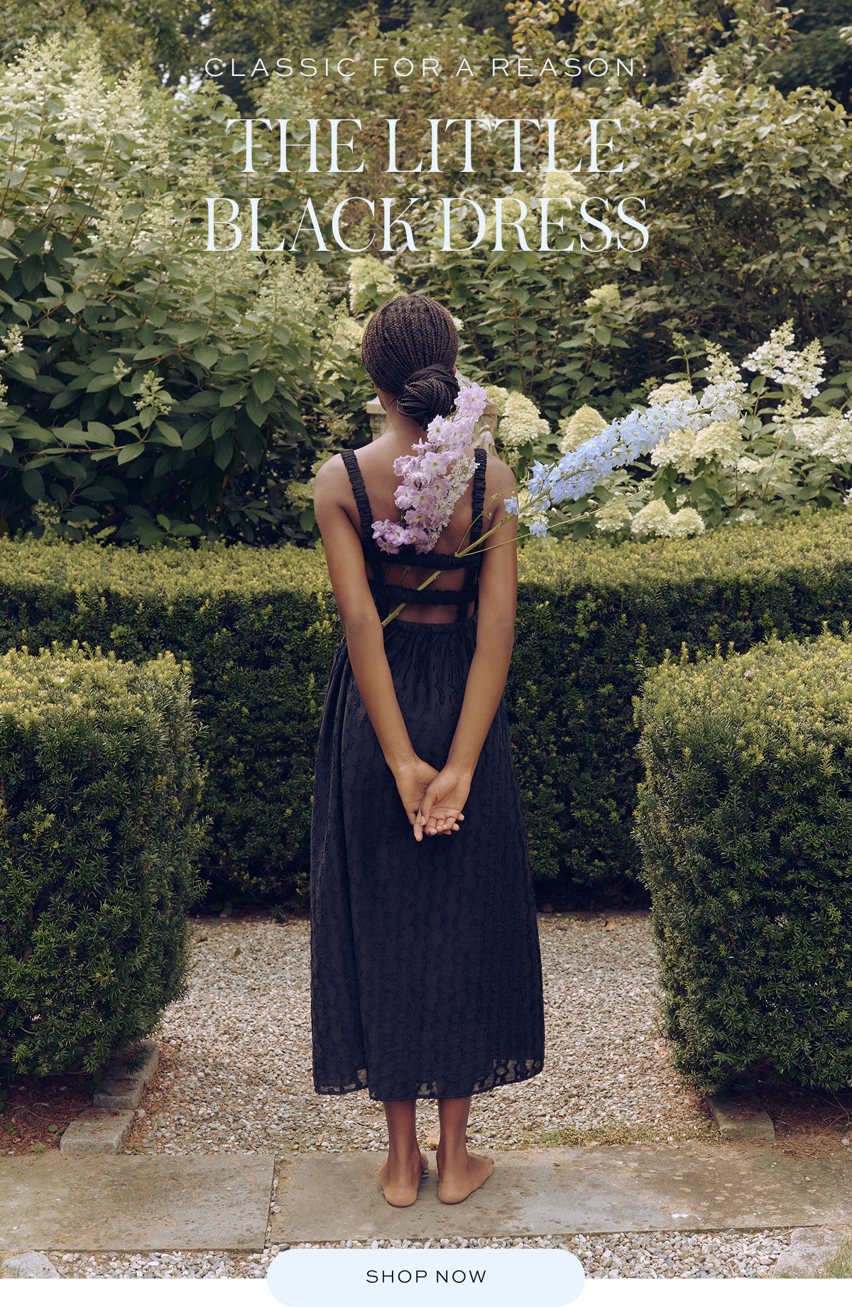 CLASSIC FOR A REASON: THE LITTLE BLACK DRESS CLASSIC FOR A REASON: THE LITTLE BLACK DRESS