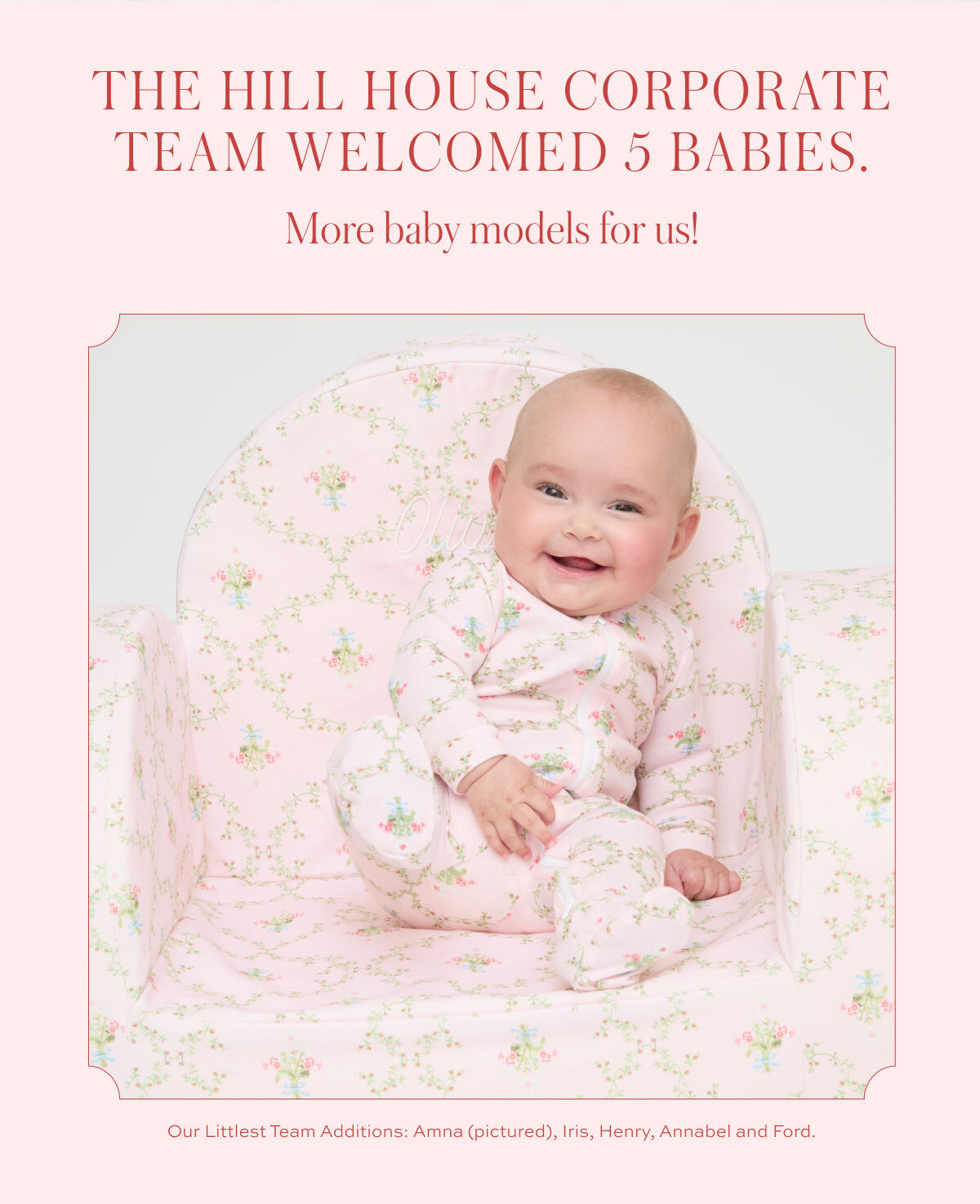 the hill house corporate team welcomed 5 babies