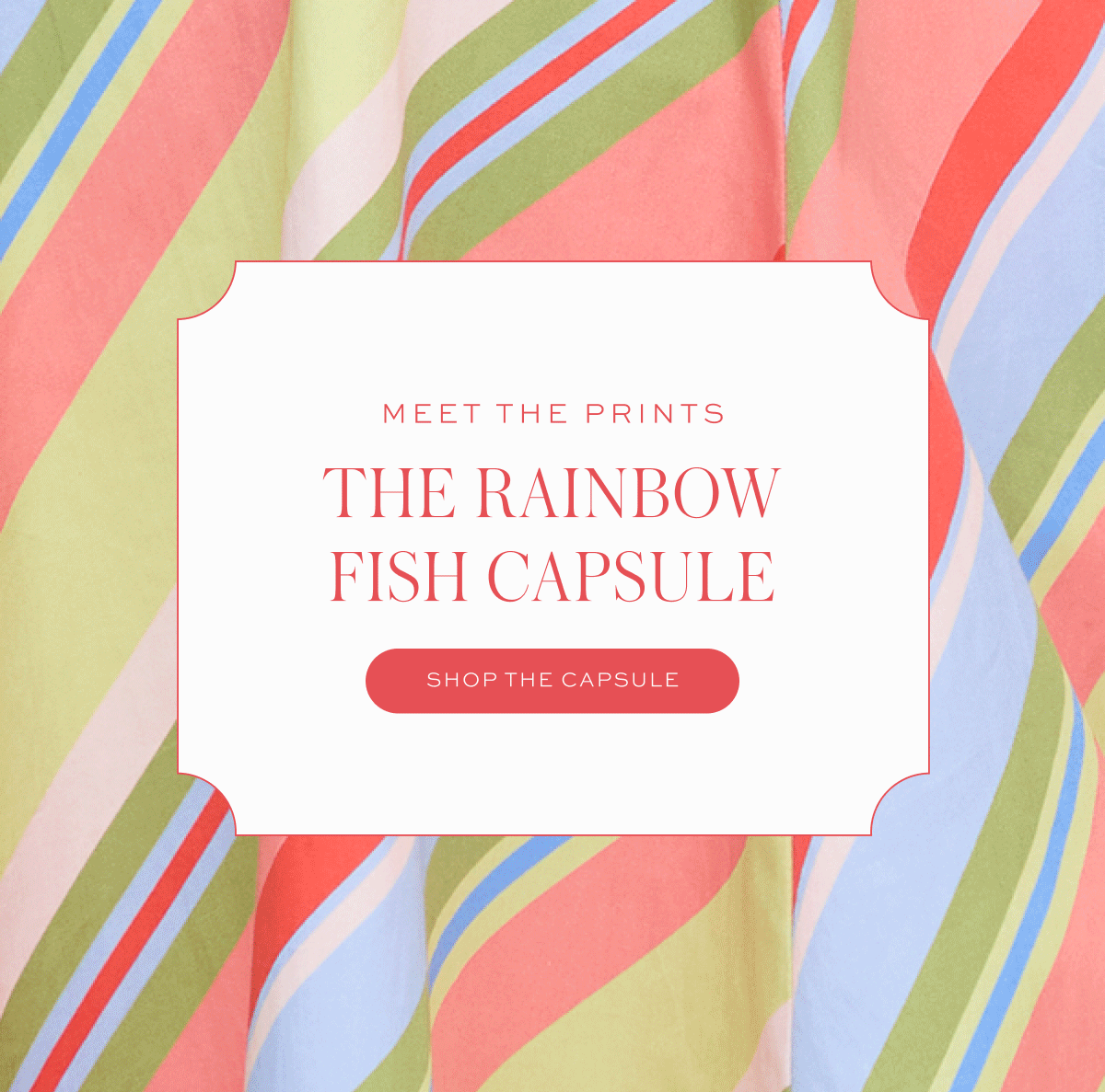 Meet the Prints: The Rainbow Fish Capsule