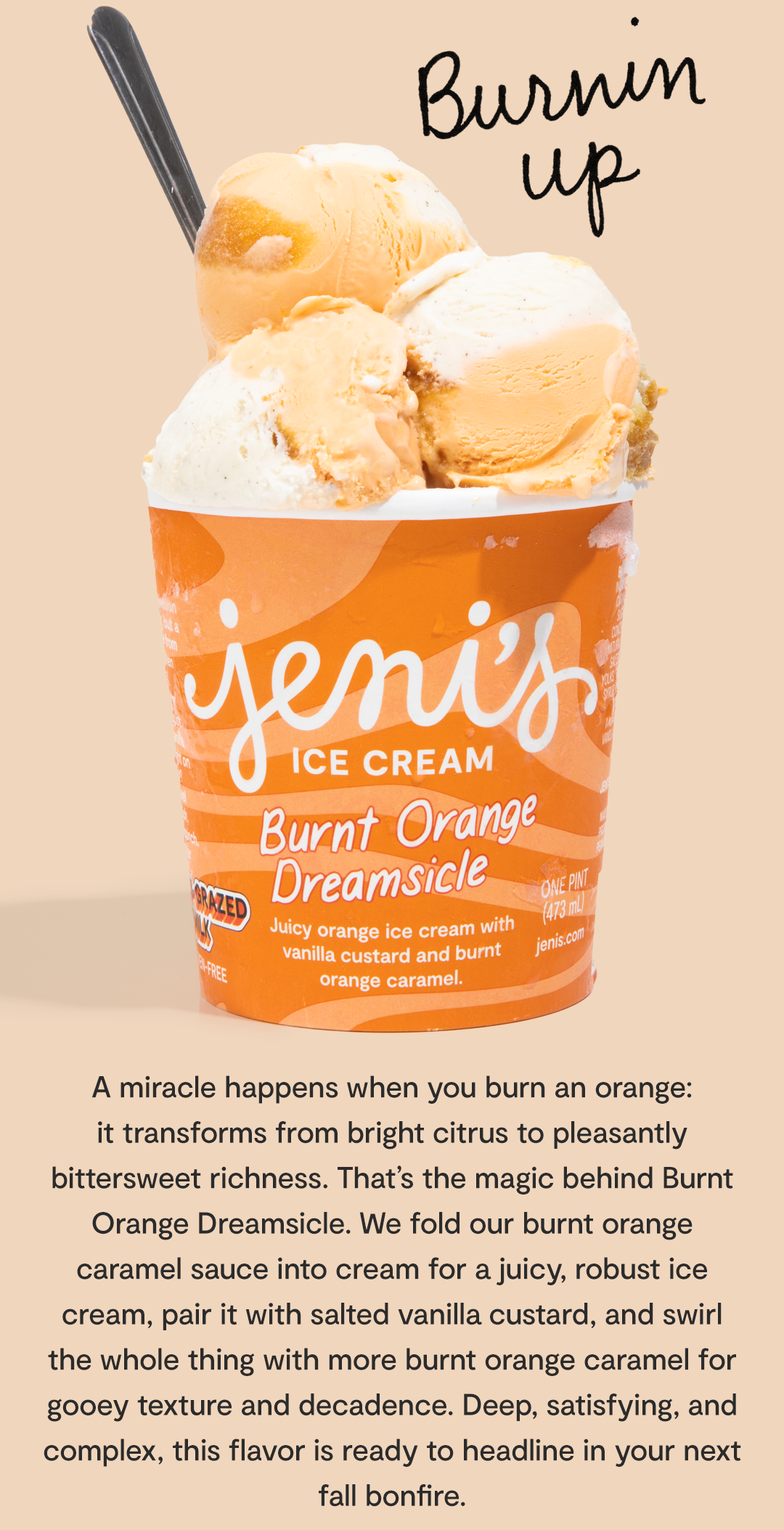 Burnt Orange Dreamsicle