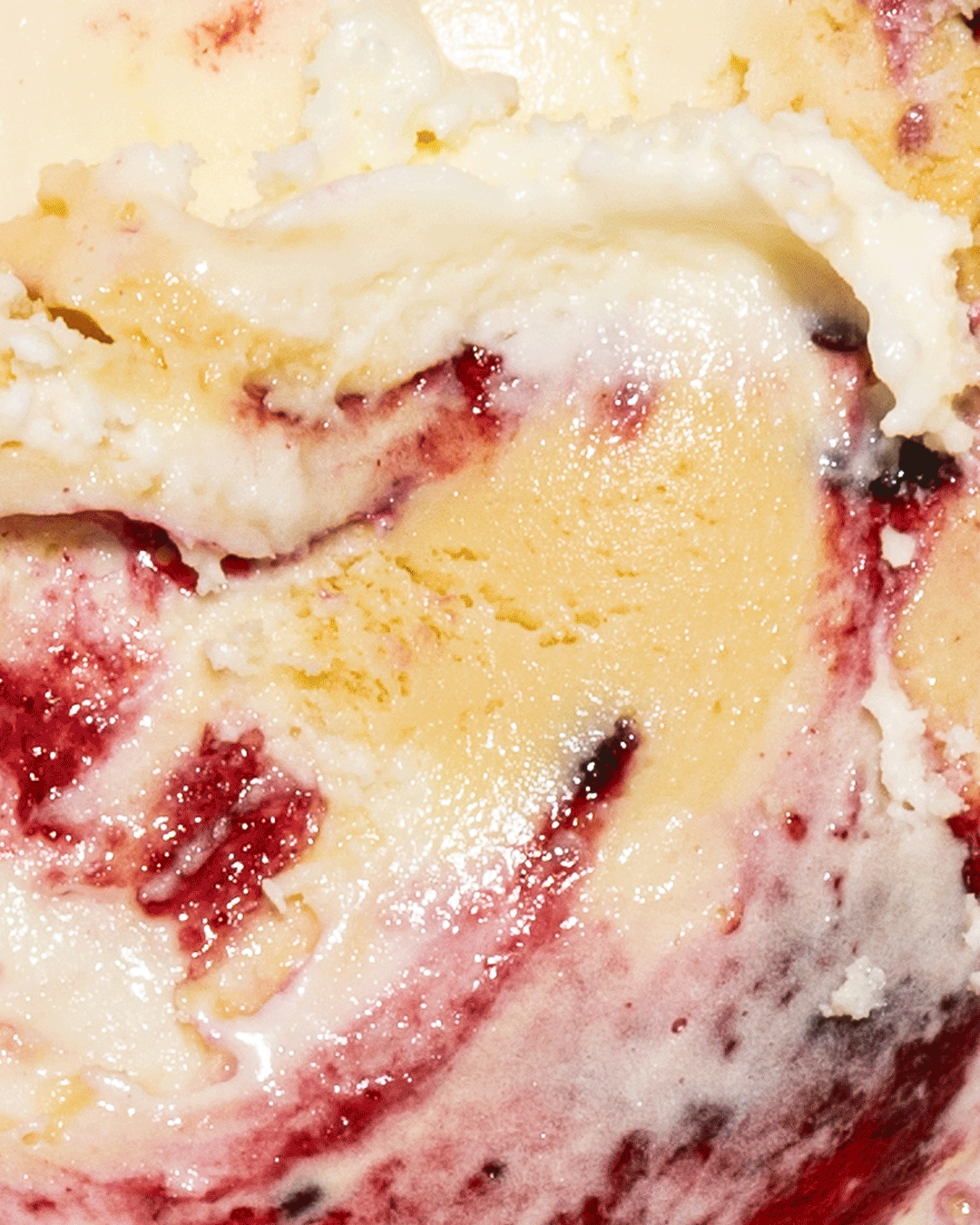 Jeni's Splendid Rewards