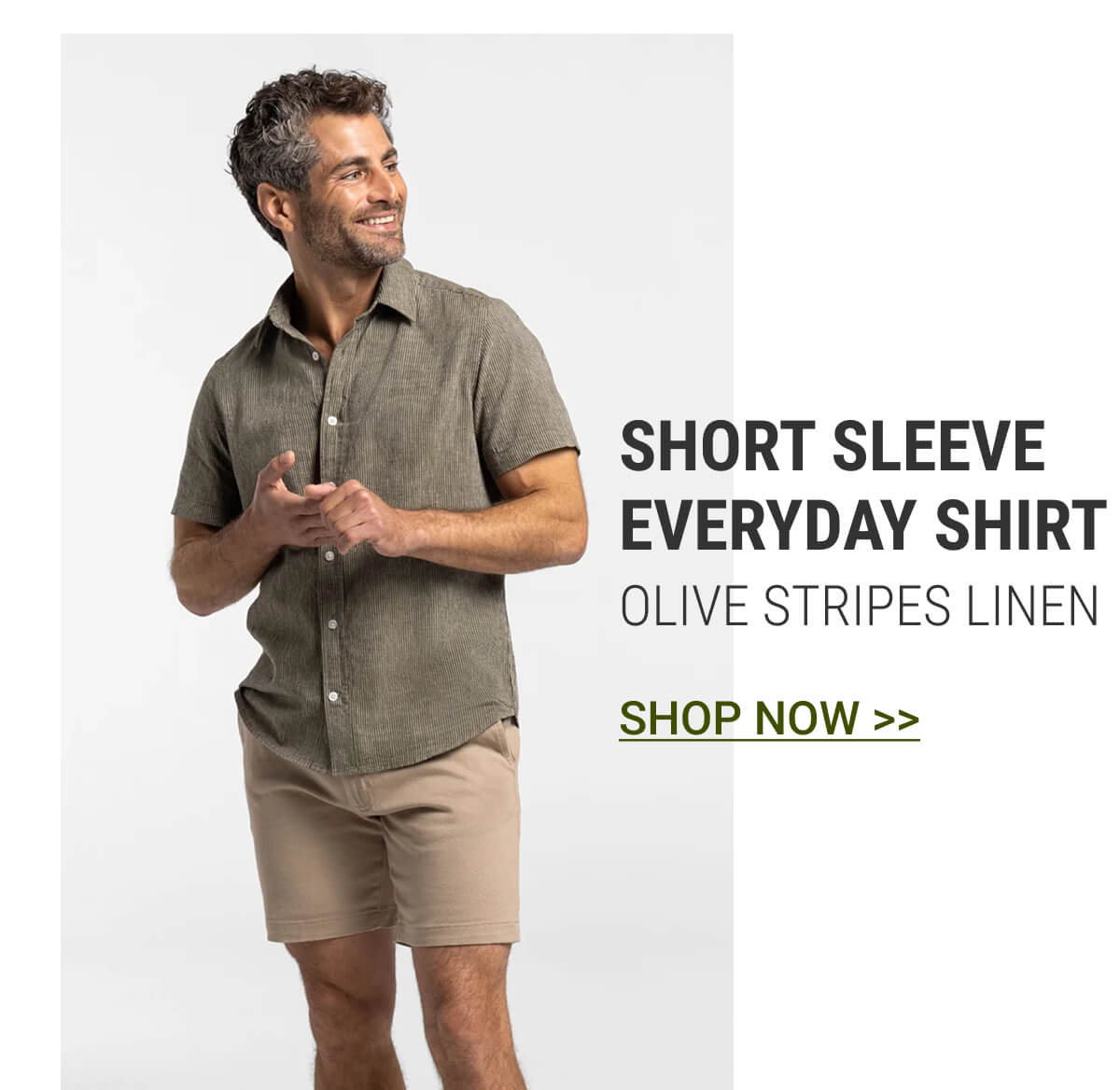 Oliver Stripes Linen Everyday Shirt
