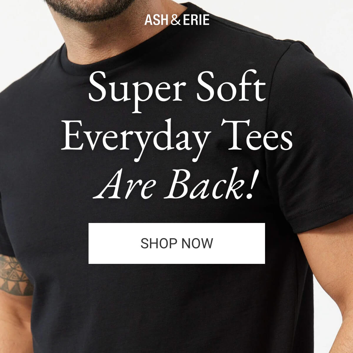 Super Soft Everyday Tees Are Back!