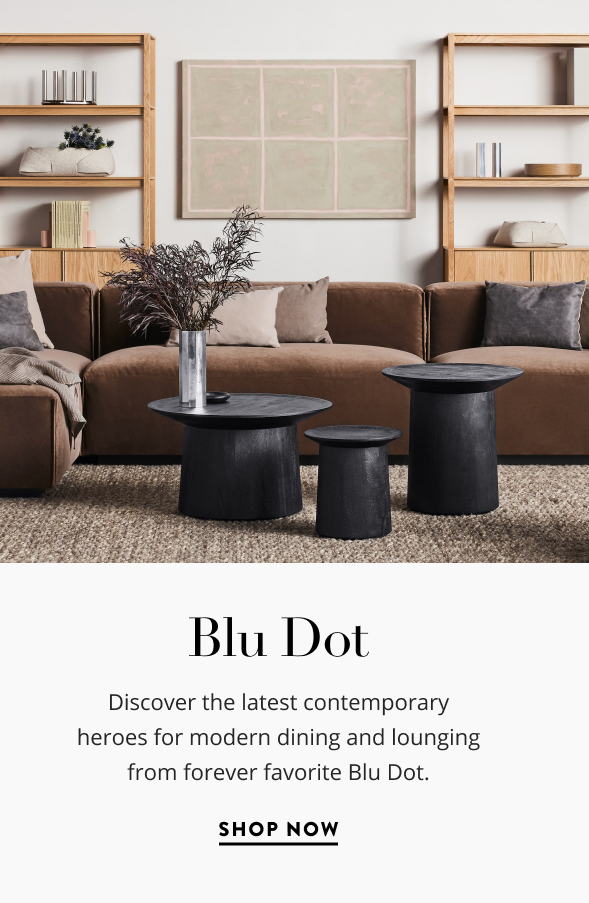 Shop Blu Dot
