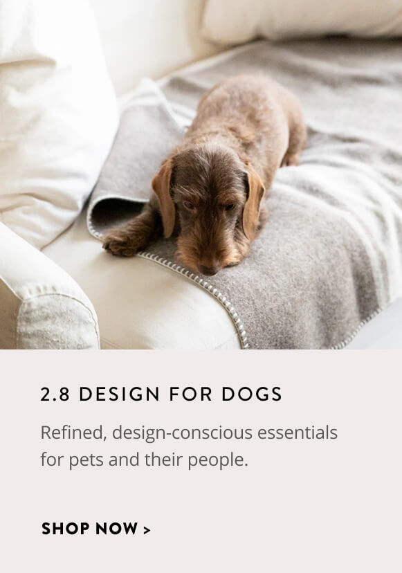  2.8 Design For Dogs