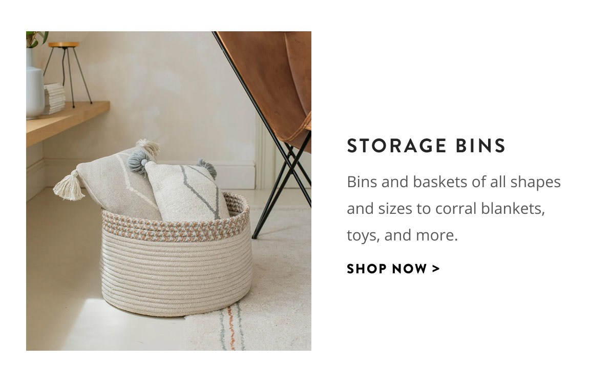 Storage Bins
