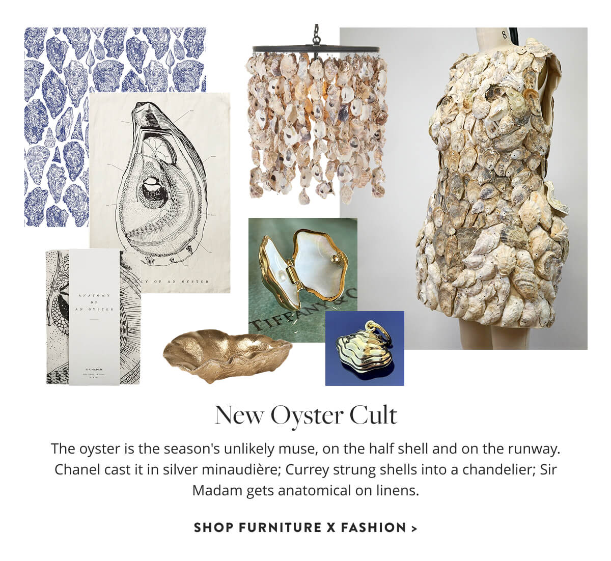 Shop Furniture x Fashion