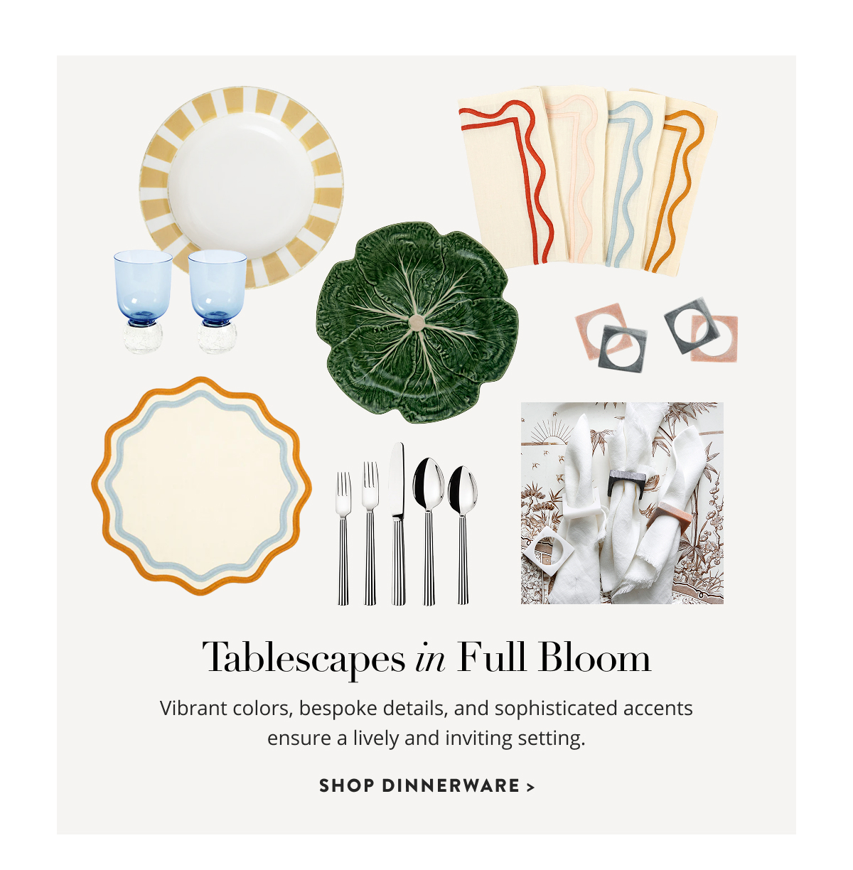 Shop Dinnerware