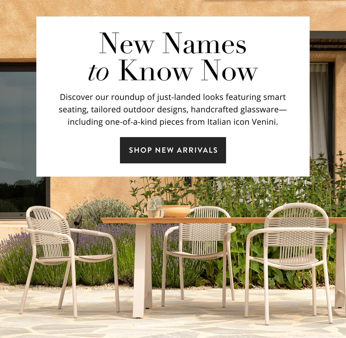 Shop New Arrivals