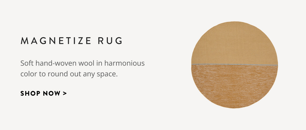 Magnetize Rug