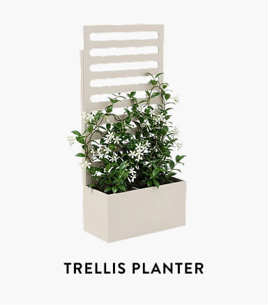 Trellis Planter